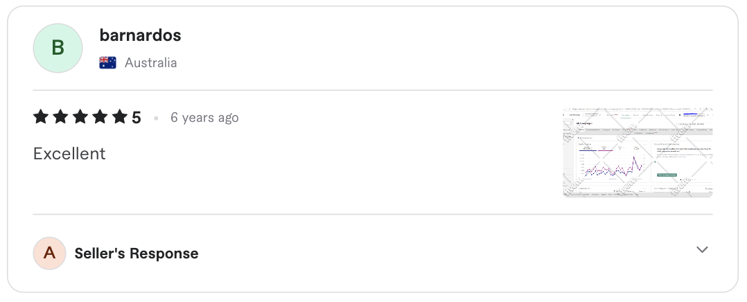 Screenshot of the original five-star client review for Google Ads campaigns