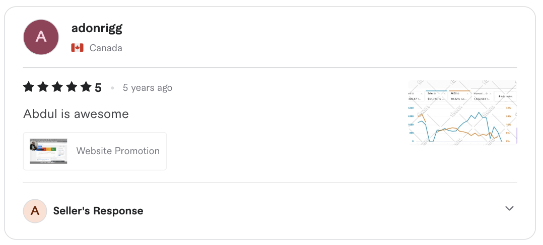 Screenshot of the original five-star client review for Website promotion ads